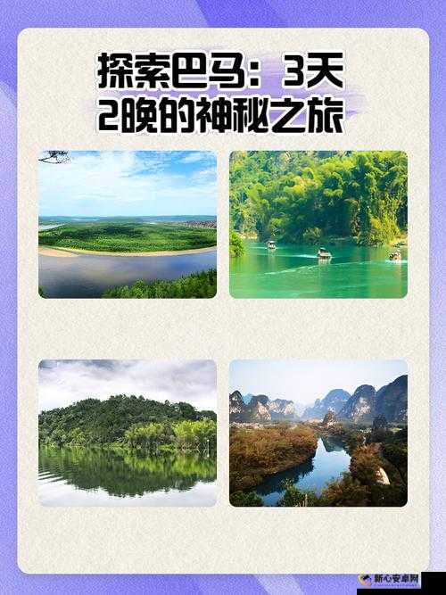 樱花 jsq30q211：探索未知的神秘之旅