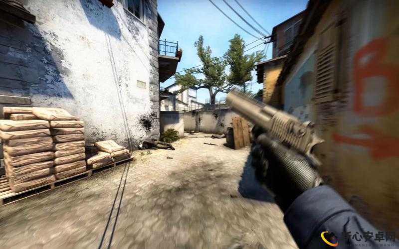 暴躁老外玩 CS-GO 激情对战热血沸腾